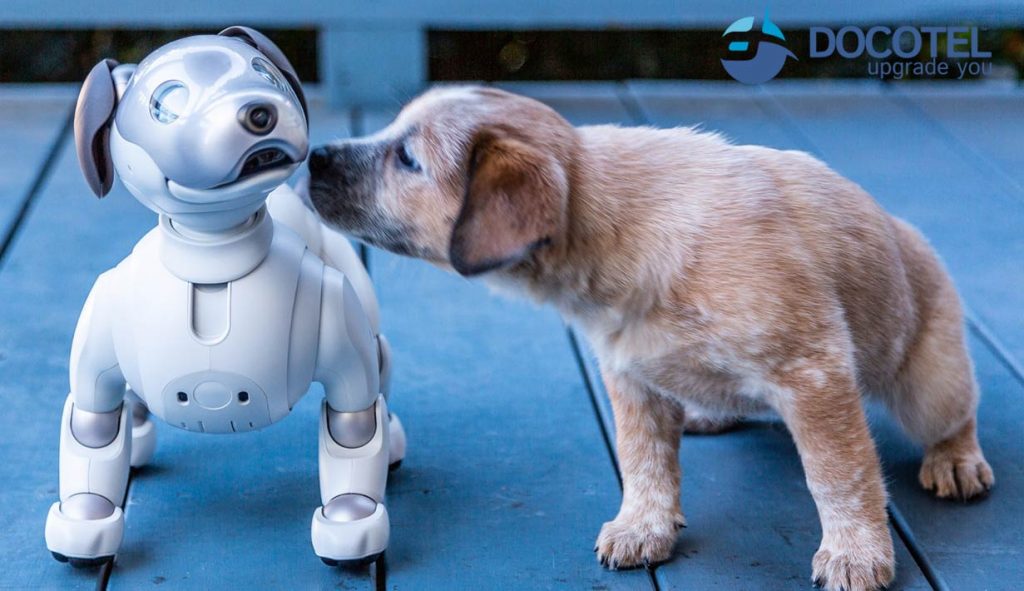 Aibo, Si Robot Anjing yang Lucu dan Pintar 4