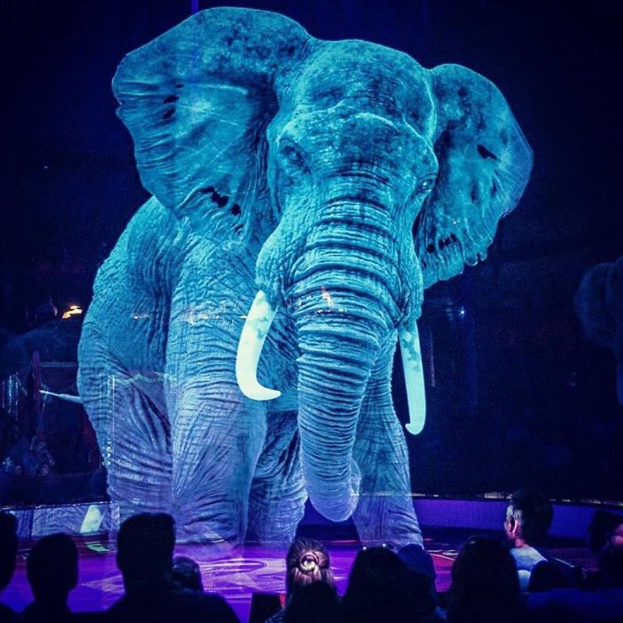 Tak Mau Mengeksploitasi Hewan, Atraksi Sirkus di Jerman Gunakan Teknologi Hologram 3D 4 Teknologi Hologram 3D