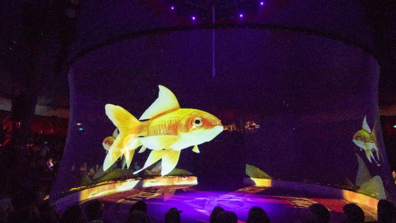Tak Mau Mengeksploitasi Hewan, Atraksi Sirkus di Jerman Gunakan Teknologi Hologram 3D 2 Teknologi Hologram 3D
