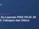 Apa Itu Laporan PIKK POJK 30 2024: Cakupan dan Siklus 2