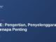 PSrE: Pengertian, Penyelenggara & Kenapa Penting 7